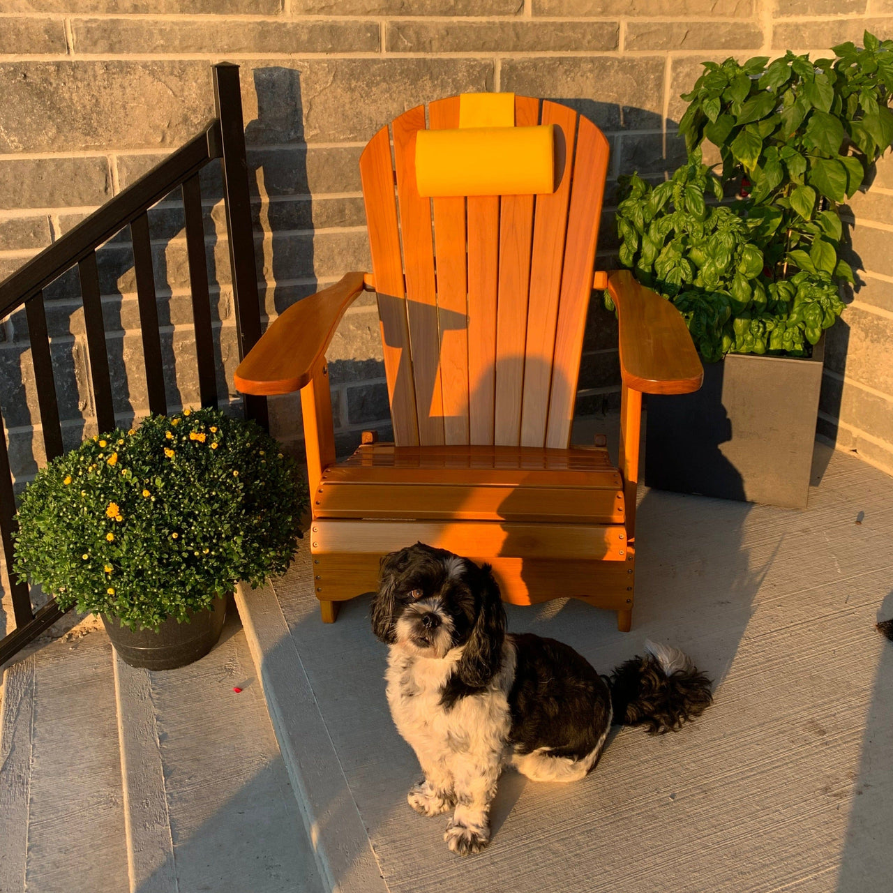 Wooden Royal  Adirondack Chair Set of 2