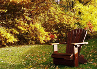 Thumbnail for Wooden Royal  Adirondack Chair Set of 2